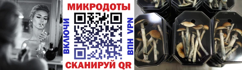 Псилоцибиновые грибы мицелий  дарнет шоп  Белогорск 